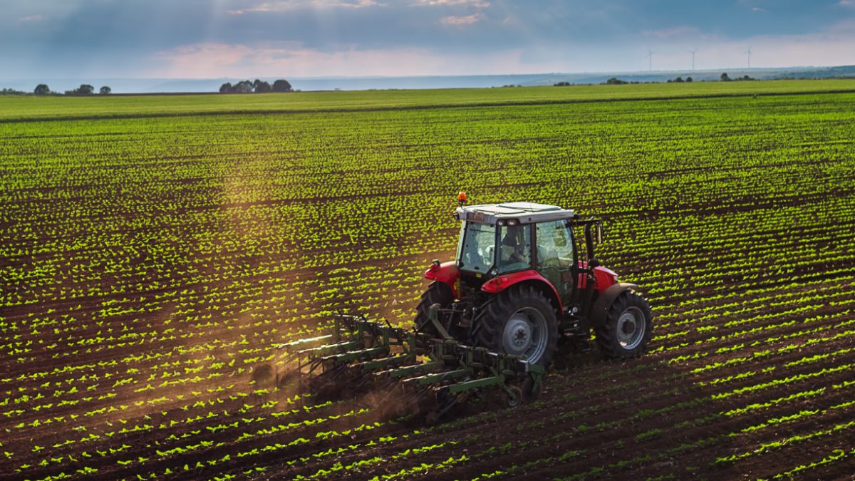 Food Security investments by Mexus Holdings International
